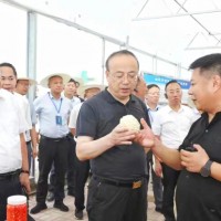 安徽省政協(xié)副主席、安慶市委書(shū)記張祥安于8月7日上午帶領(lǐng)著全市七縣三區(qū)主要領(lǐng)導(dǎo)蒞臨潛山市壽光模式智慧農(nóng)業(yè)產(chǎn)業(yè)示范園項(xiàng)目調(diào)研指導(dǎo)工作并召開(kāi)現(xiàn)場(chǎng)會(huì)議