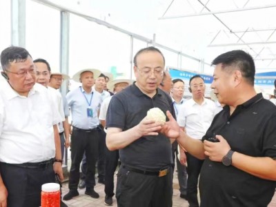 安徽省政協(xié)副主席、安慶市委書記張祥安于8月7日上午帶領(lǐng)著全市七縣三區(qū)主要領(lǐng)導(dǎo)蒞臨潛山市壽光模式智慧農(nóng)業(yè)產(chǎn)業(yè)示范園項(xiàng)目調(diào)研指導(dǎo)工作并召開現(xiàn)場會議